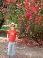 0704 uxmal 58